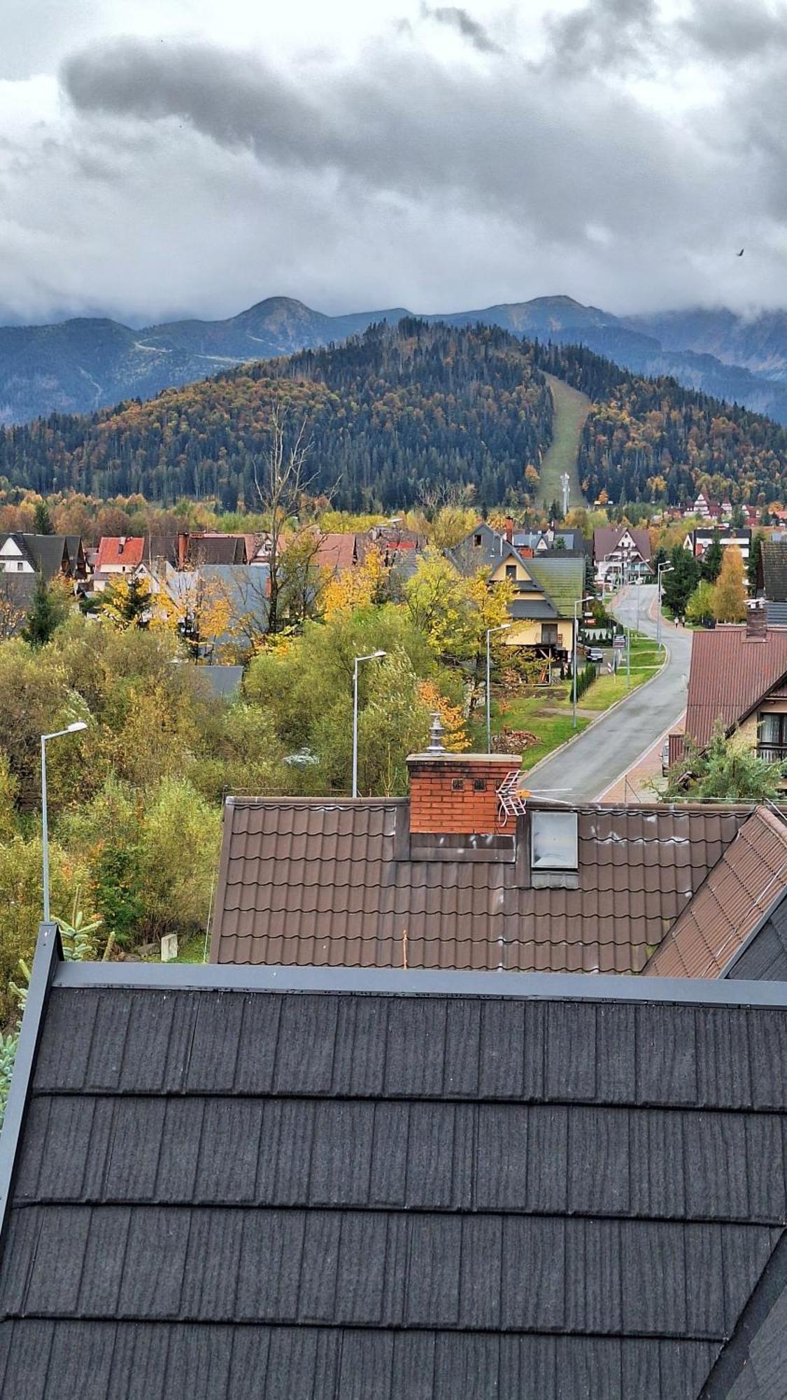Willa U Kosle Zakopane Exterior photo
